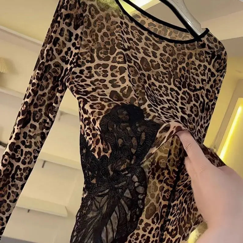 Women Latin Dance Top Leopard Print Long-sleeved Dance Costume Cha-cha Samba Ballroom Dance Training  Performance Mesh Clothes